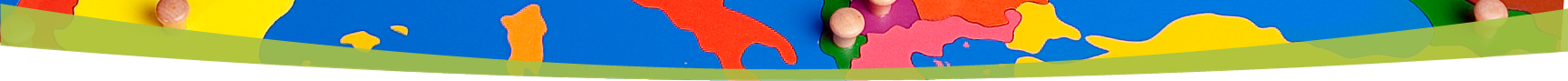 NAMC Montessori Lower Elementary Diploma Program Testimonials Puzzle Map